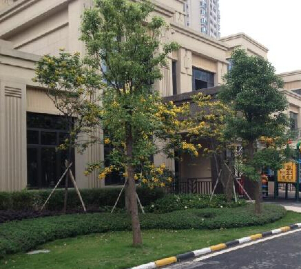 ���������Ǆe��